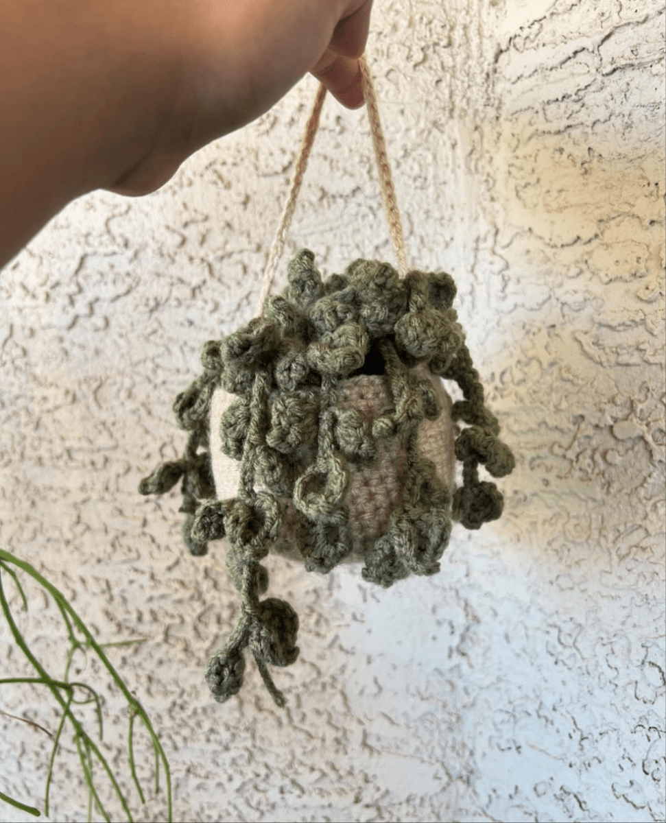 Crochet Plant Hanger - Plant and Clay Nook